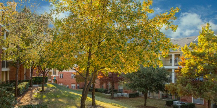 Apartments for Rent in