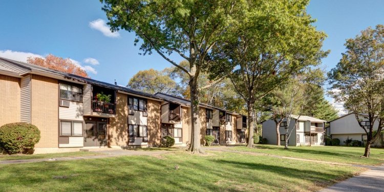 Homes and Apartments for Rent