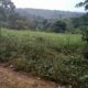 2 Acres of Land for Sale