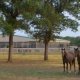 Fort Worth Ranch for sale