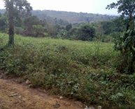 2 Acres of Land for Sale