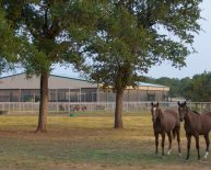 Fort Worth Ranch for sale