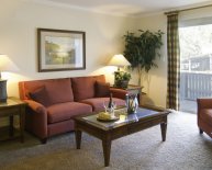 Houses for rent near UTA