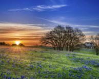 Ranch Style Homes for Sale in Texas