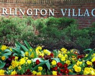 Rental homes in Arlington VA